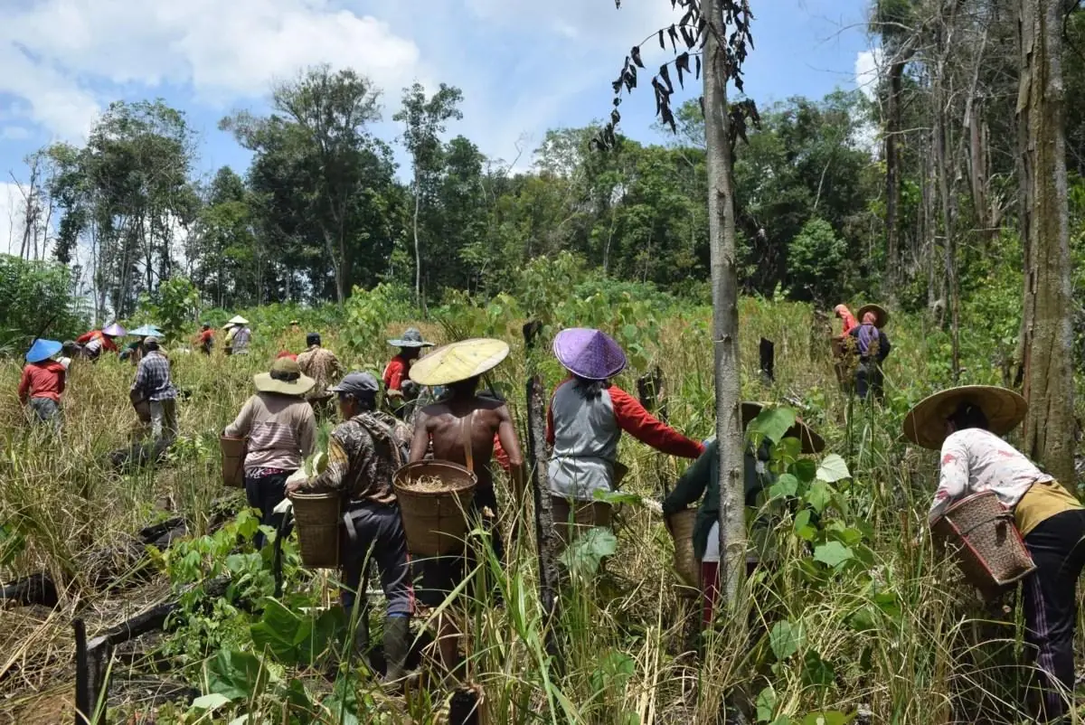 Sekelompok warga berjalan beriringan menembus ladang berumput tinggi sambil memikul keranjang rotan, bergotong royong di tepi hutan / A group of villagers walking together through a tall-grass field while carrying rattan baskets, working side by side at the forest's edge