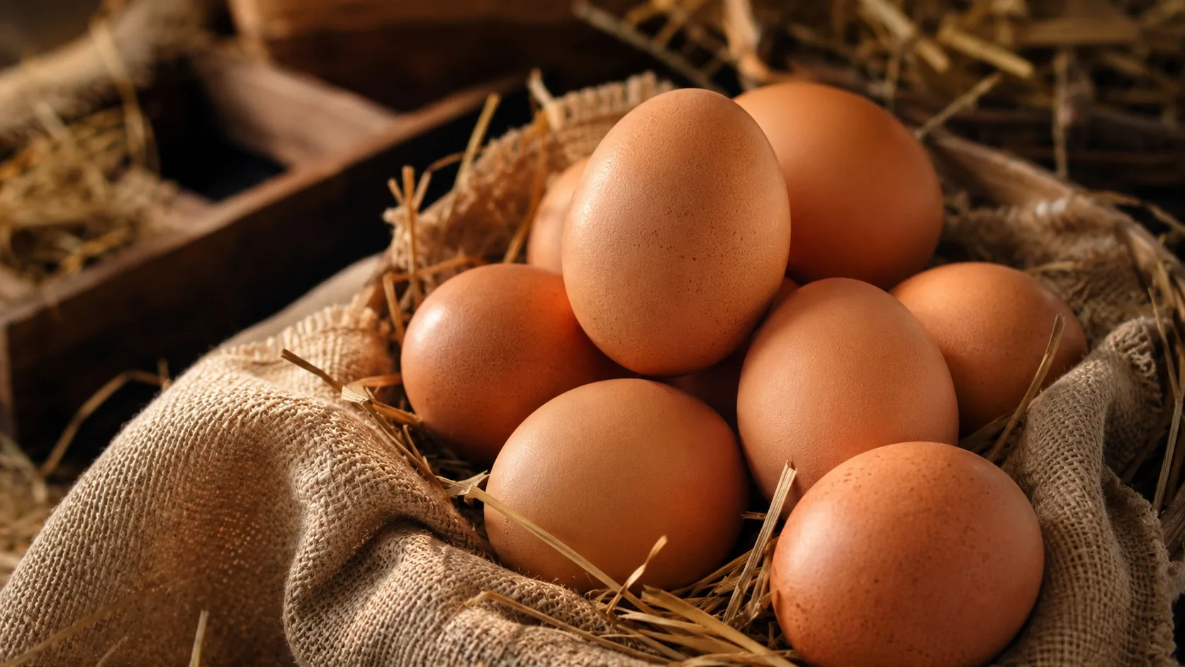 Telur ayam segar dari peternakan Keling Kumang Agro