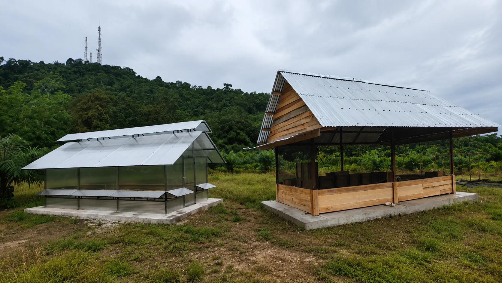 Demplot perkebunan kakao MK Agro, rumah bibit dan bangunan demplot di kebun percontohan